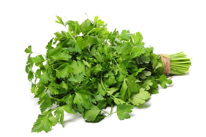 Fresh Coriander