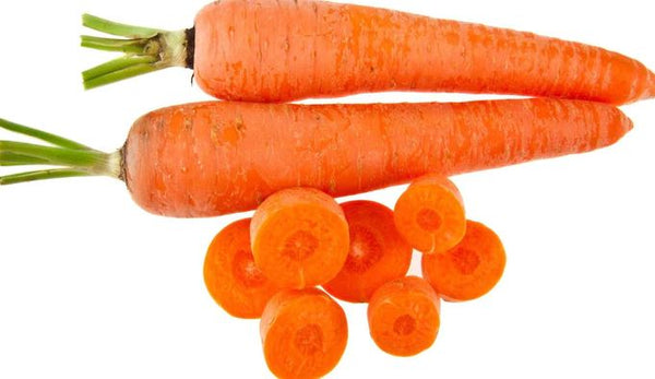 Indian Carrot
