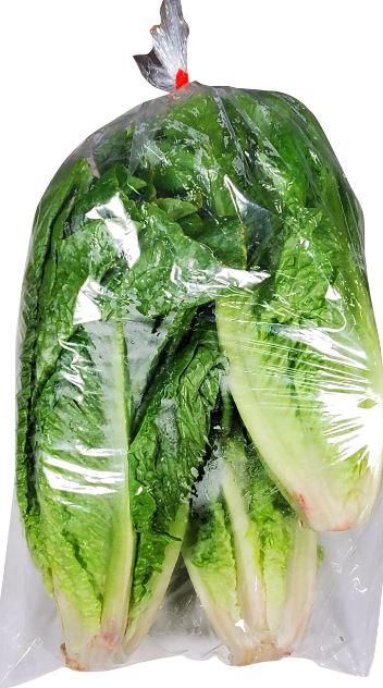 Lettuce