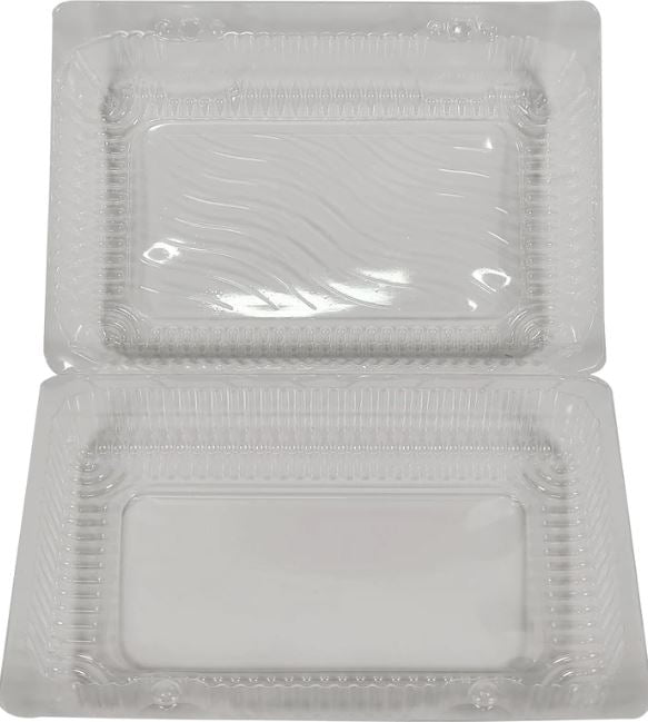 Large Lunch Container