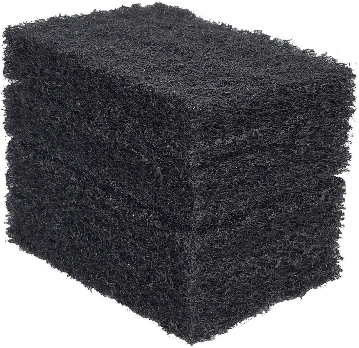 Black Scouring Pad