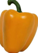 Fresh Yellow Bell Peppers