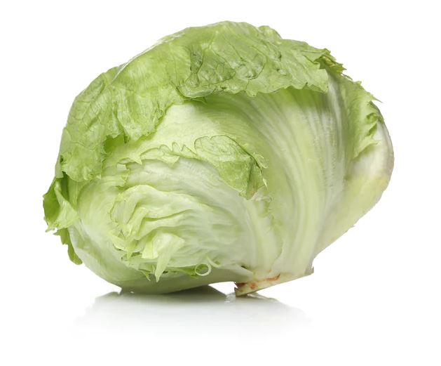 Fresh Cabbage