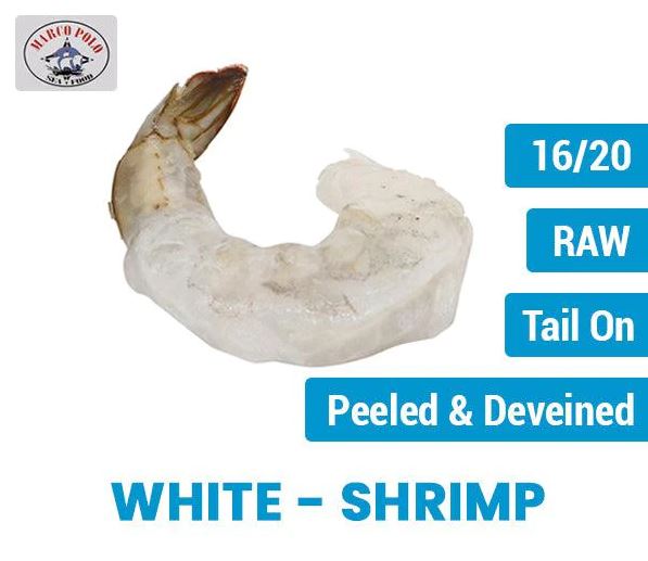16-20 P & D Tail On Shrimp