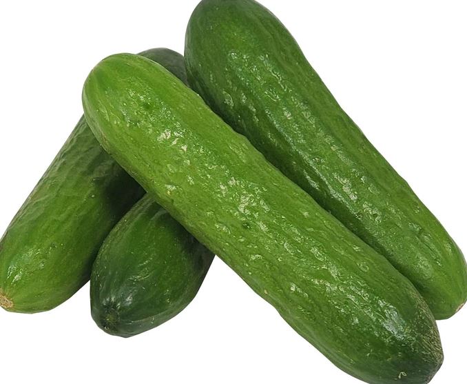 Fresh Cucumber