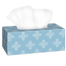 GoGo Facial Tissue, Bulk , White, Flat Facial Tissue Boxes for Business, Convenience case 120 sheets Gogo Facial Tissue - 18/case