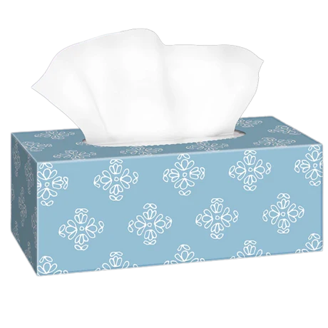 GoGo Facial Tissue, Bulk , White, Flat Facial Tissue Boxes for Business, Convenience case 120 sheets Gogo Facial Tissue - 18/case