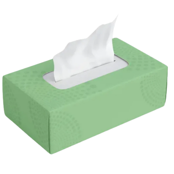 GoGo Facial Tissue, Bulk , White, Flat Facial Tissue Boxes for Business, Convenience Case 100 sheets, 2ply Facial Tissue - 30/case